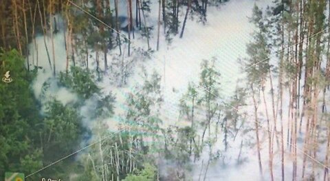 WWI-style video: ammonia hovering over a forest near Kharkov.