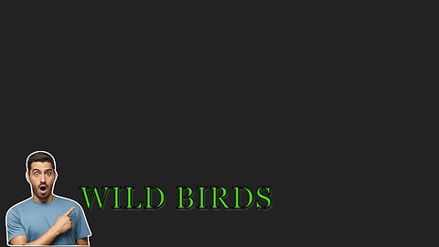 "Discover the Enchanting World of Wild Birds"