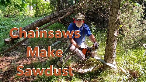 Removing Trees on the Highroad