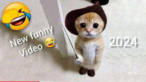 2024 New funny animal video || funny cats,dogs moments || best funny video 😂🤣🤣