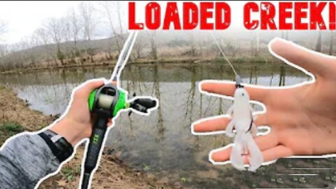 Fishing LOADED Creek For Big Bass!