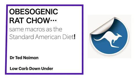 Ted Naiman 6: OBESOGENIC RAT CHOW...same macros as Standard American Diet!