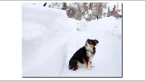 The End Of Snow