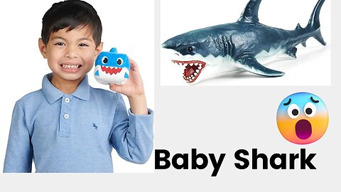 Baby Shark Official Song Cube - Daddy Shark, Blue, 5 x 3 x 3.5 (Inches)