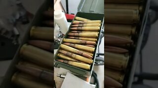 50 BMG Freedom Seeds