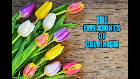 Episode 235 False Teachers Introduction to Calvinism