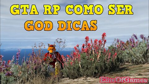 GTA RP VIDA DE GOD