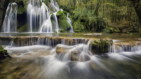 Sound of rain and forest animals - Rain HD - Relax, sleep