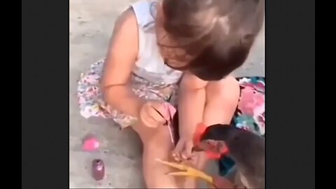 The Things They Do - Little Girl Giving Her Feathered Friend A Makeover - HaloRock