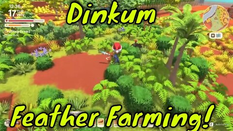 Dinkum How To Farm Feathers