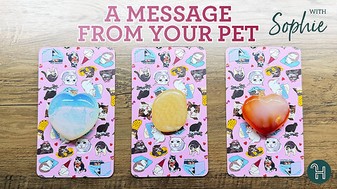 A message from your pet 🔮 PICK-A-CARD THURSDAYS