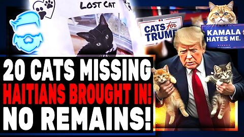 20 Cats Missing From Small Maine Town After Migrants Move In! No Bodies, No Trace At All!