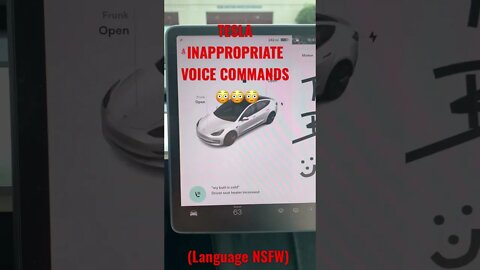 Tesla's Totally Inappropriate Voice Commands! - I can't believe that last one is real!!! LOL #shorts
