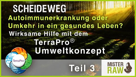 TEIL 3: Scheideweg - Autoimmunerkrankung oder ein gesundes Leben?