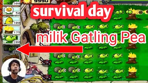 PvZ Survival_Day Mode Gatling Pea | Plants vs Zombies Free