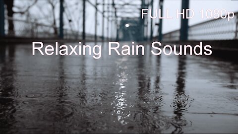 Relaxing Rain Sounds 1 HOUR for Yoga, Meditation, Studying, Working, Pets, and more!