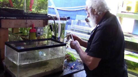 STEP #1 - SETUP A DIRTED TANK | FATHER FISH