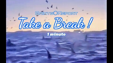 2827. Take a Break | 1 minute 🌊🐋