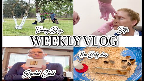 WEEKLY VLOG + SPOILED CHILD + DOG TRAINING + BOTOX + NEW BABY CHICKS