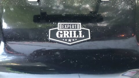 Expert Grill review- Walmart cheap propane Grill