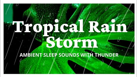 TROPICAL RAIN & THUNDER - CALMING SLEEP SOUNDS!! #yogalife #yoga #rainsounds #sleepingsounds #zen