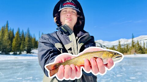 Getting Outfished by By Brett the Brook Trout King