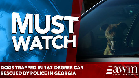 Dogs trapped in 167-degree car rescued by police in Georgia