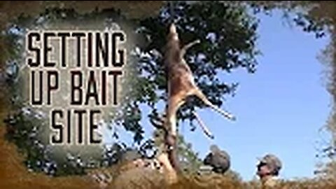 Safari Education - Great Cats Episode 7: How To Set Up A Bait Site To Hunt African Lions and Leopards