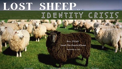 LOST SHEEP... IDENTITY CRISIS