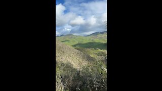 Rolling Cloud Shadows over the Green Hills