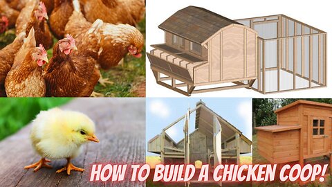 How To Build A Simple Chicken Coop Step By Step - Chicken Coops Designs and Plans