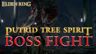 Elden Ring Putrid Tree Spirit Boss Fight