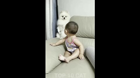 Beautiful kid playing with cute dog,little dog having fun with child,