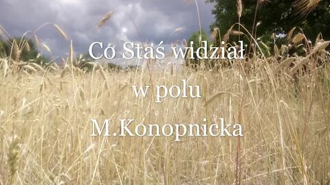 Co Staś widział w polu -M.Konopnicka