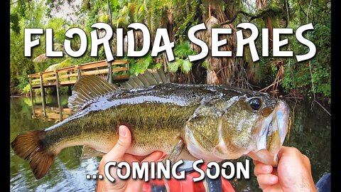 FLORIDA SERIES ....coming soon!