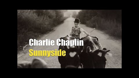 Charlie Chaplin misplaces a herd of cattle - Clip from Sunnyside (1919)