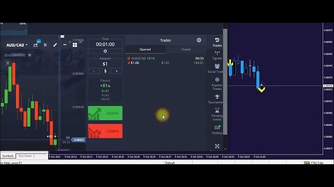 BinaryMartini , Best Martingale Binary options trading indicator and strategy