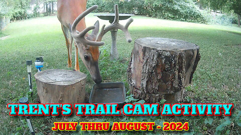 Trent's Trail Cam Activity - July Thru August 2024