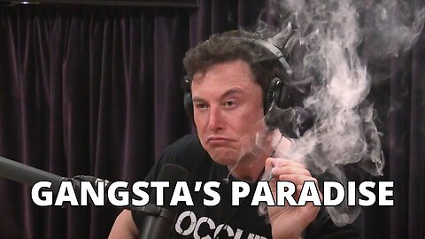 Elon Musk - I Don't Ever Give Up | Gangsta's Paradise | Podcast