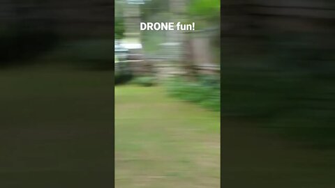 DJI Mini SE Attack . Malfunction?