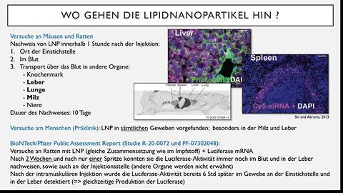 Welche Gefahren gehen von den Lipid-Nanopartikeln aus ? BioNTech-Impfstoff