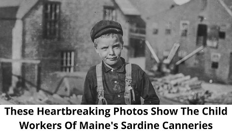 These Heartbreaking Photos Show The Child Workers Of Maine's Sardine Canneries