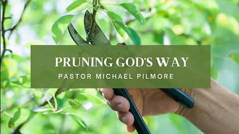 Pruning God's Way/Back To The Basics On Health & Healing Pt.18