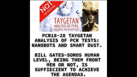 PCR18-28 TAYGETAN ANALYSIS OF PCR TESTS: NANOBOTS AND SMART DUST. BILL GATES-SOROS HUMAN LEVEL, BEIN