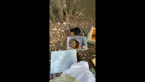 Late swarm rescue from H2O meter box