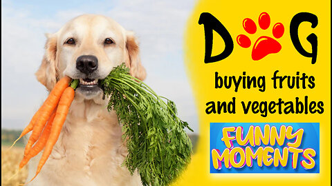 dog buying fruits and vegetables funny moments