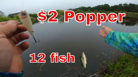 Poppers WERK! - Simple popper - many bass caught