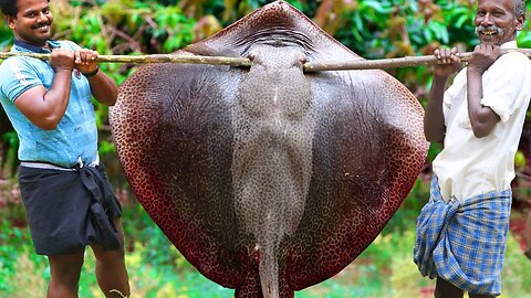 50 KG GIANT DOT COBRA STINGRAY FISH RECIPE | CUTTING AND COOKING STINGRAY VILLAGE STYLE | KARUPPASMI