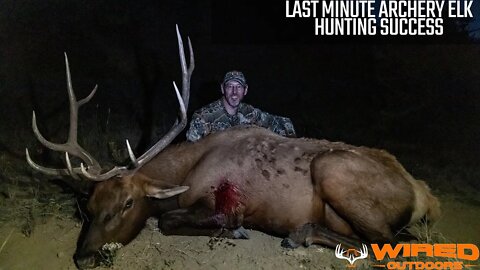 Last Minute Archery Elk Hunting Success