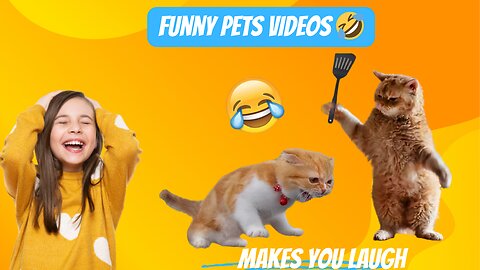 Funny Animal // Funny Pets videos 15 minutes unlimited 😂